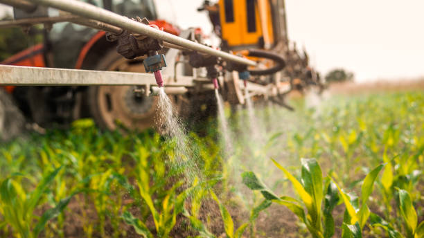 Best Mosquito Control Services  in Oakes, ND